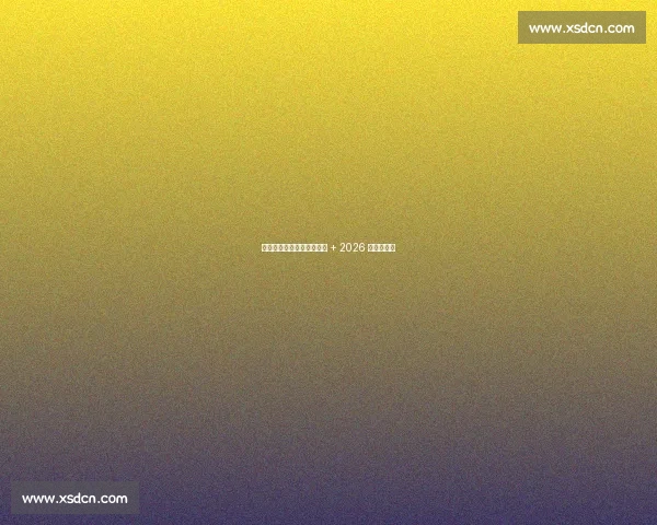 萨内：加拉塔萨雷领袖目标 + 2026 世界杯雄心