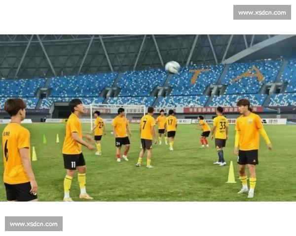 多特蒙德助力常州 “苏超” 北伐：德甲经验点燃龙城绿茵激情